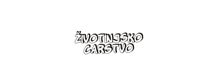 Životinjsko carstvo